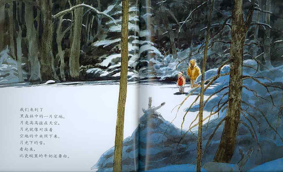月下看猫头鹰 (10),绘本,绘本故事,绘本阅读,故事书,童书,图画书,课外阅读